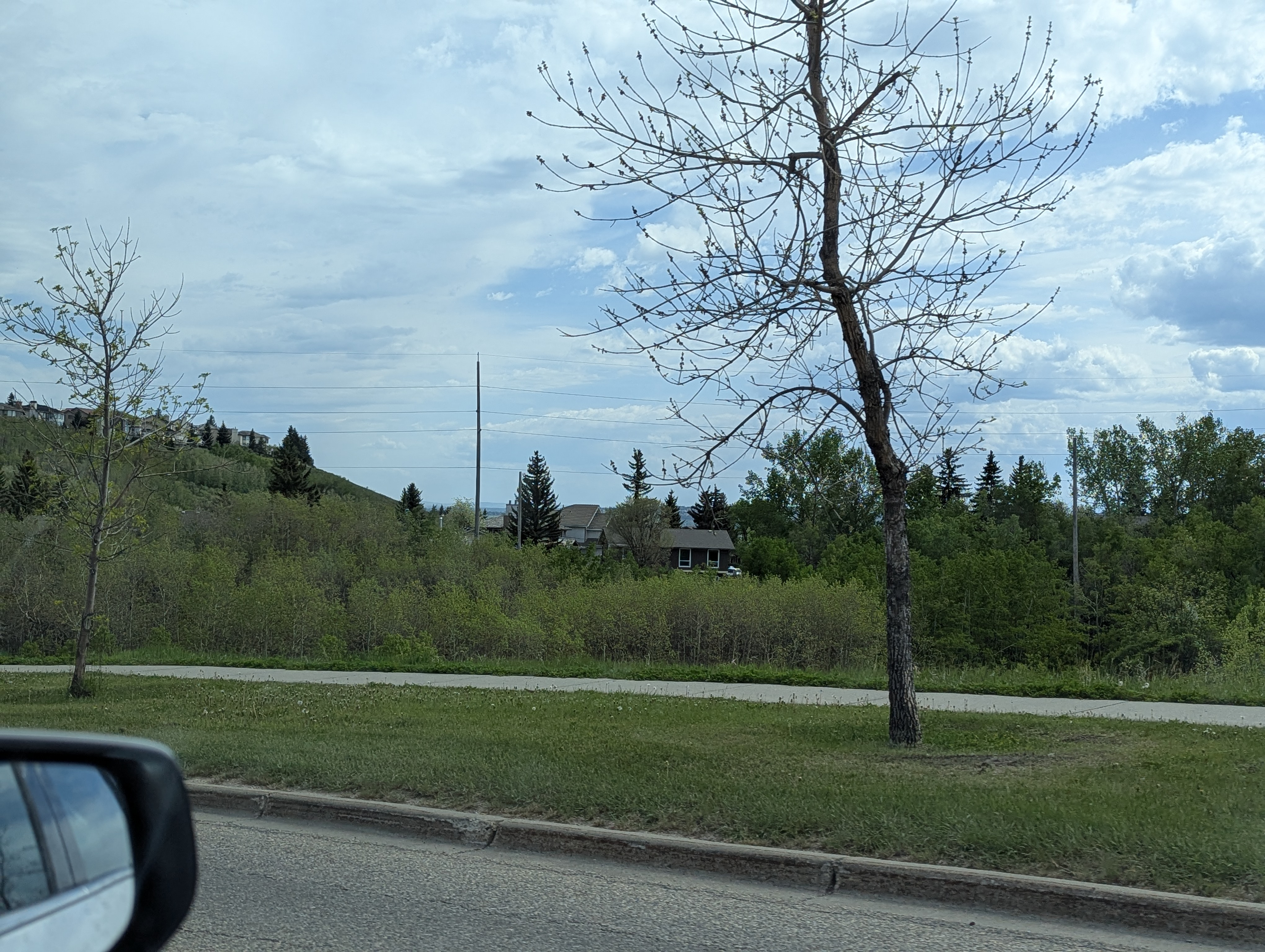 Birthday Trip to Canada, Calgary